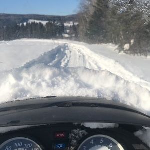 Meet your Posher, Libby